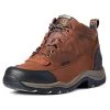 Ariat Terrain H2O Mens Endurance Riding Shoe -Horse Care 10002183 c1116 2zcwwwk4owgzz1ve