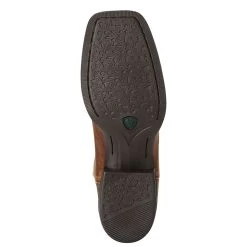 Ariat Round Up Square Toe Powder Brown Ladies Western Boot -Horse Care 10018528 c1109 alt3 2umljznyqqs3swey