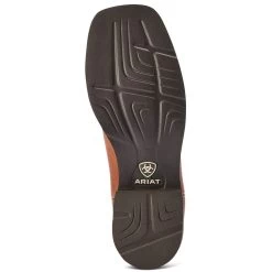 Ariat Delilah Ladies Western Boot - Spiced Cider -Horse Care 10042420 c1109 alt4 7zeot2auo50pwbjl