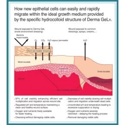 Derma Gel Tube 100 ML -Horse Care 20655 3 fs5dy10ahxc90rg8