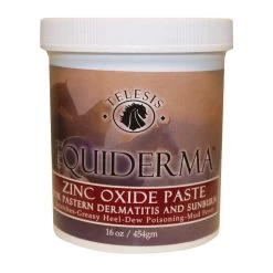 Equiderma Zinc Oxide Paste 16 Oz