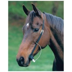 Easy Wormer -Horse Care 444w 2 0ease5j80elv6yy5