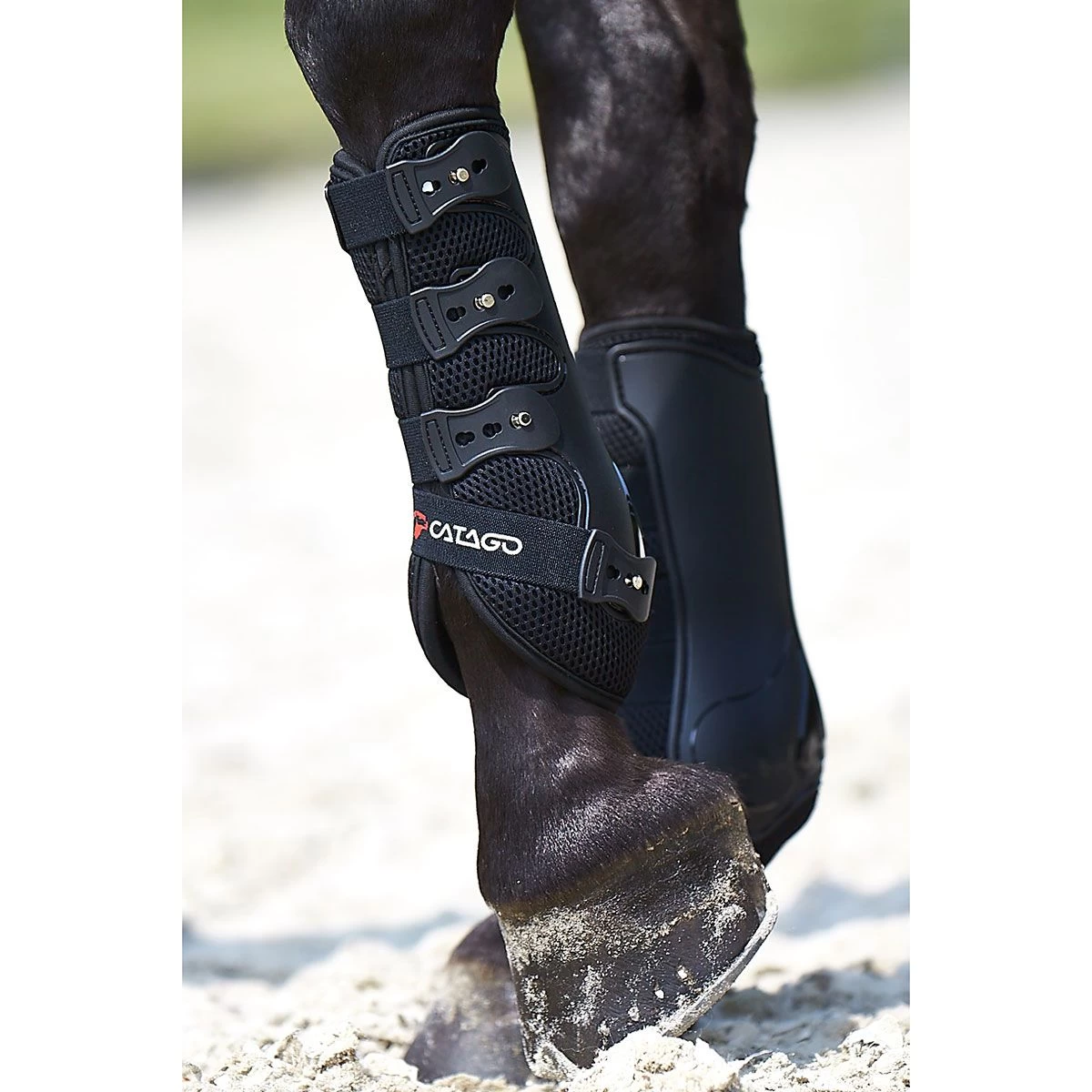 Catago FIR-Tech Therapy Dressage Boots 4 Catago FIR-Tech Therapy Dressage Boots - Image 2