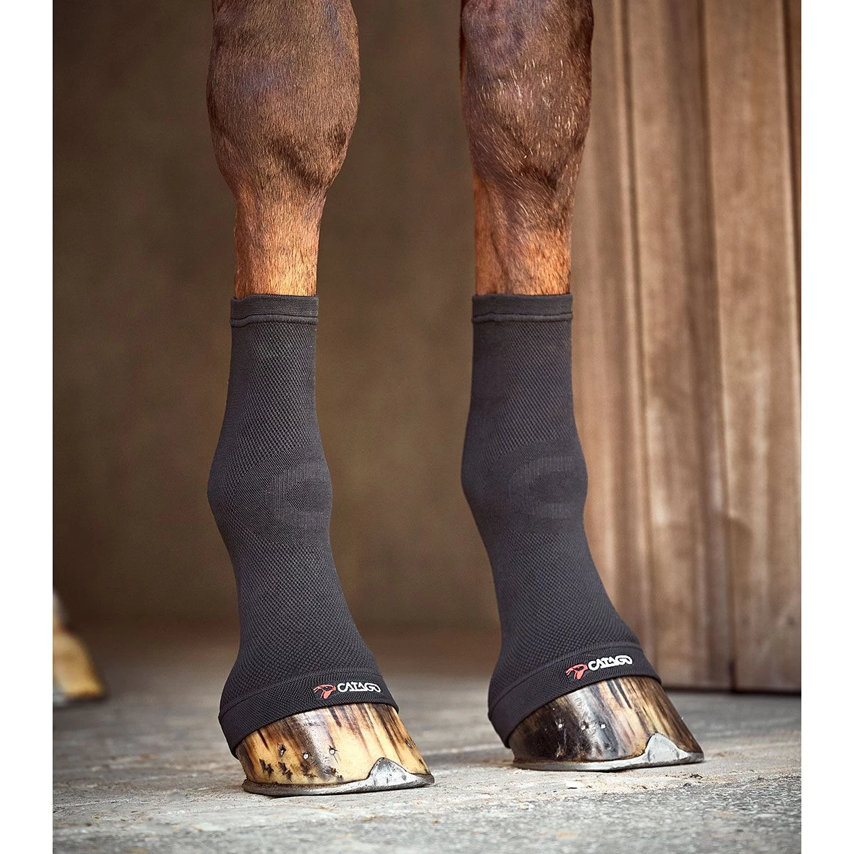 Catago Fir-Tech Fetlock Socks Pair One Size 5 Catago Fir-Tech Fetlock Socks Pair One Size - Image 3