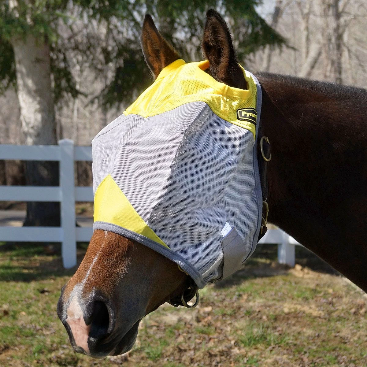 Pyranha Fly Mask No Ears 3 Pyranha Fly Mask No Ears