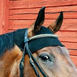 Back On Track Therapeutic Ceramic Equine Head Cap