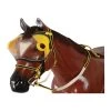 Jacks Equivizor Racing Hood -Horse Care 797rp c1105 fkg0kndrbqdxnina