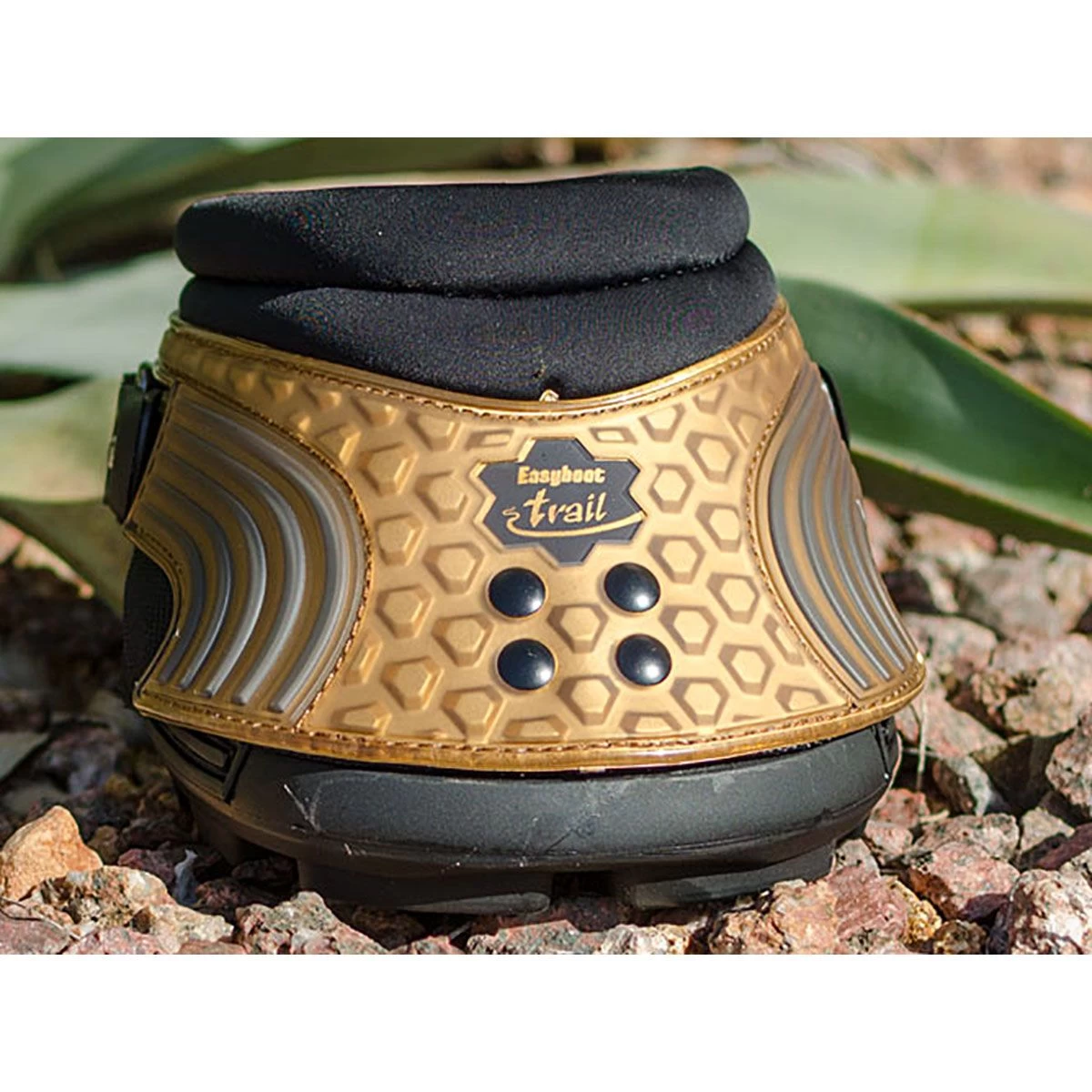 Easyboot Trail II 8 Easyboot Trail II - Image 6