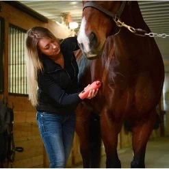 Wahl KM Cordless 2 Speed Clipper Kit -Horse Care 9596 100 c1156 alt3 ykp4zqcnwt8vyau1