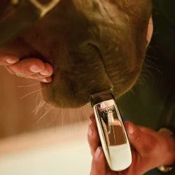 Wahl Super Pocket Pro Compact Trimmer 10 Wahl Super Pocket Pro Compact Trimmer -Horse Care 996158 3 5jw3x7u3tmd84hgm