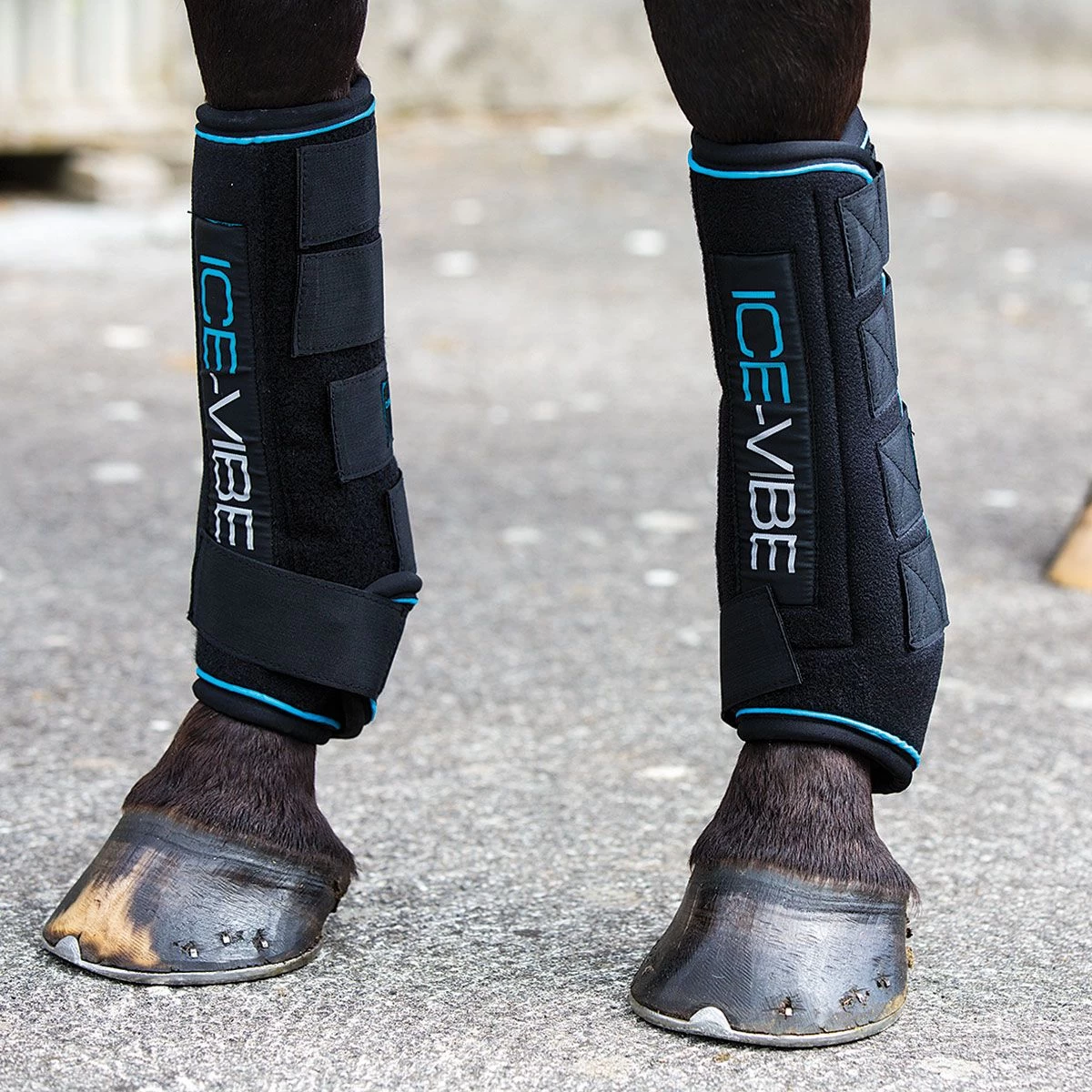 Horseware Ireland Horseware Ice-Vibe Therapy Boots 3 Horseware Ireland Horseware Ice-Vibe Therapy Boots
