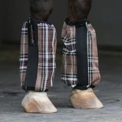 Kensington BubbleBoots Set Of 4