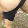 Fenwick Liquid Titanium Stifle Wrap 2 Fenwick Liquid Titanium Stifle Wrap -Horse Care lt138 1 jddtctsnpqtqcz0m