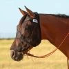 Cashel Quiet Ride Long Nose Fly Mask No Ears -Horse Care qrl czmxhwgveaebvies