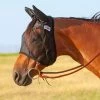 Cashel Quiet Ride Fly Mask With Ears 1 Cashel Quiet Ride Fly Mask With Ears -Horse Care qrse 1 rxzedjuvnvoawqvq