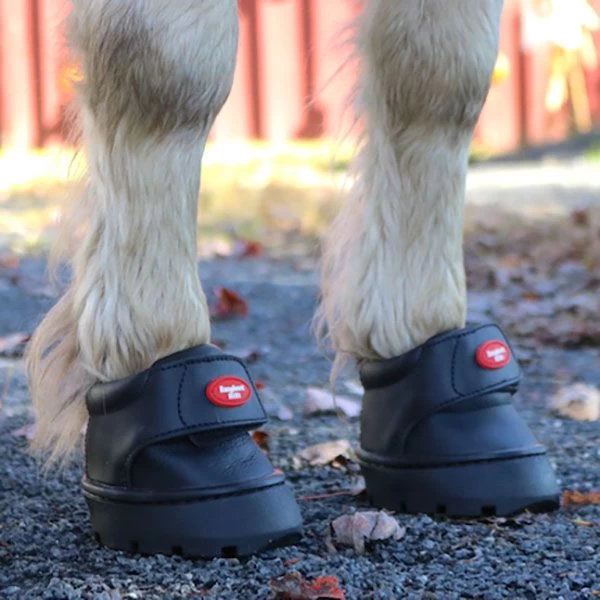 EasyCare Easyboot Mini 4 EasyCare Easyboot Mini - Image 2