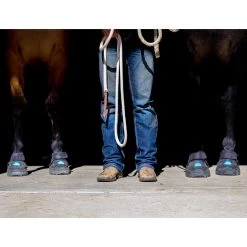 EasyCare Easyboot Cloud 12 EasyCare Easyboot Cloud -Horse Care sbecld 5 cfc6vzsxqqun6gqd